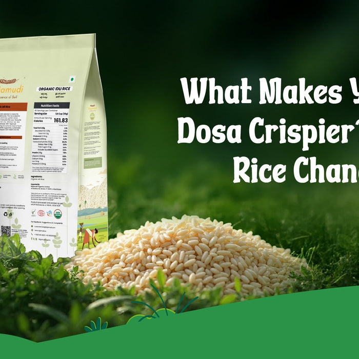 What Makes Your Idli Softer and Dosa Crispier? How the Right Idli Rice Changes Everything