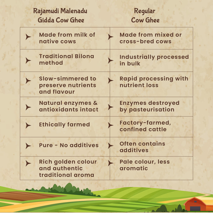 Malenadu Gidda Cow Ghee: Handcrafted Tradition & Nature's Pure Essence in Every Drop.