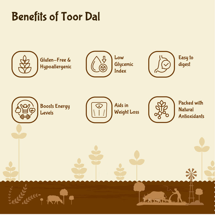 Organic Toor dal / Togari Bele Unpolished By Rajamudi Organics