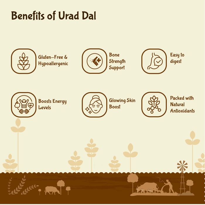 benefits of urad dal