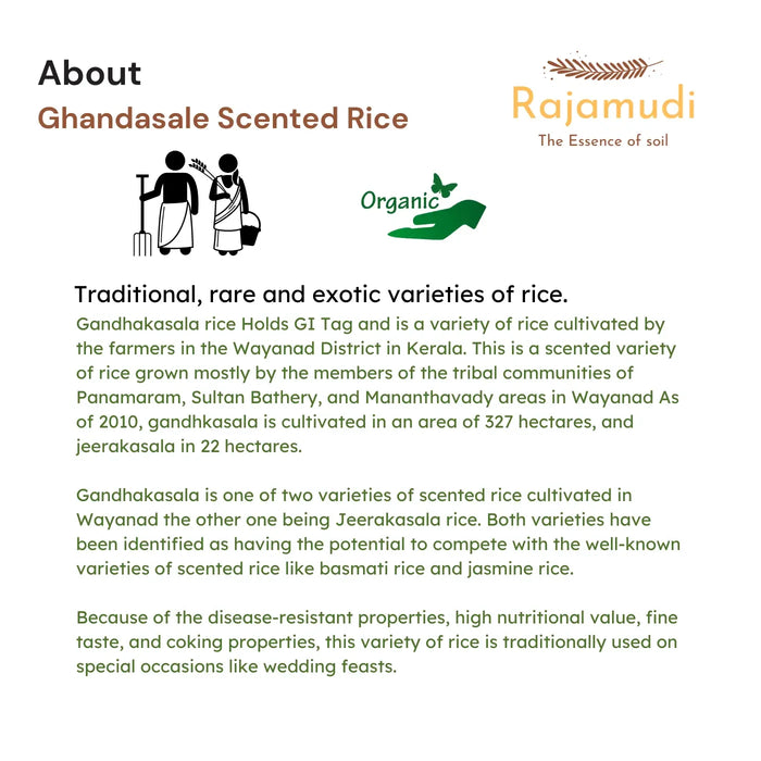 Authentic Organic Ghandhasale Rice | Rajamudi Organics