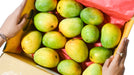 Alhonso mango box