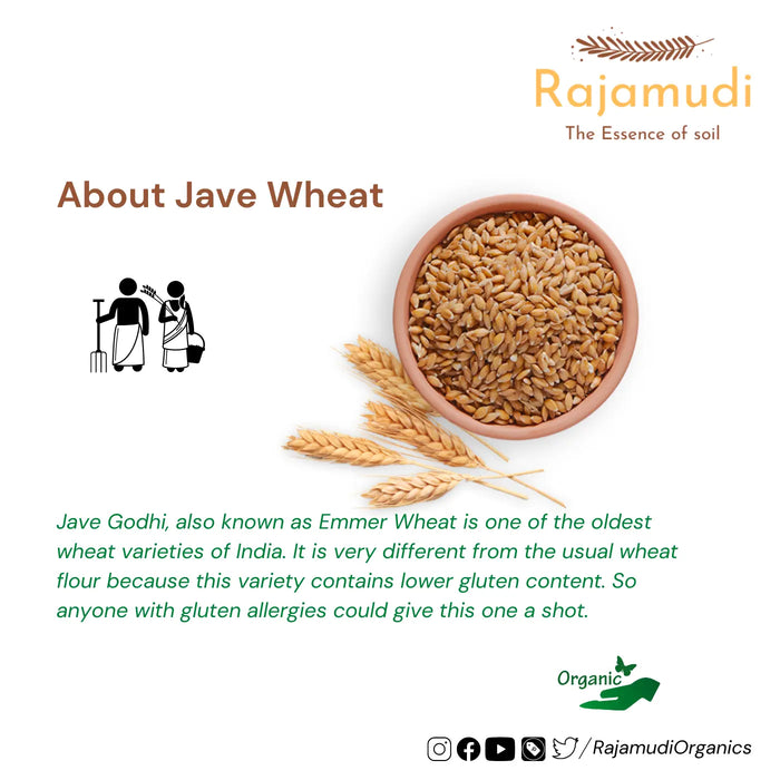 Organic Wheat Khapli / Jave Godhi by Rajamudi - Rajamudi Organics